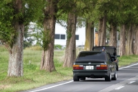 BMW E24 M6 & BMW E28 M5